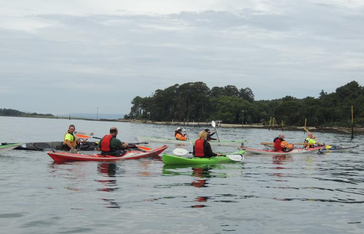 II Red para la recuperación de los ecosistemas marinos en el PNMT das Illas Atlánticas de Galicia