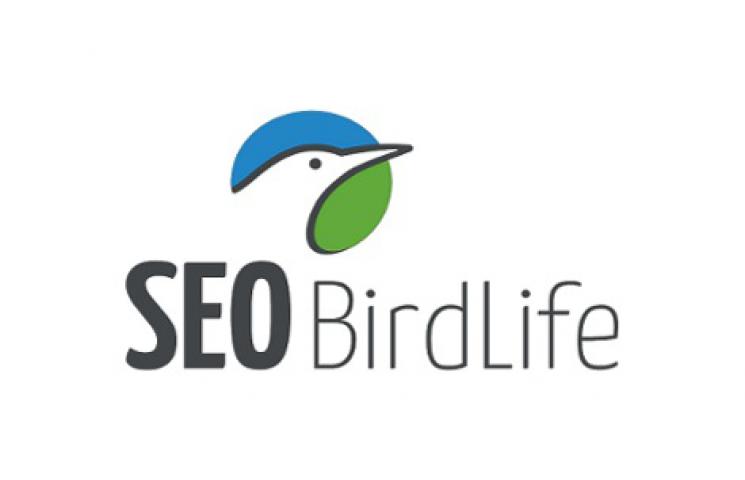 Logotipo SEO BirdLife